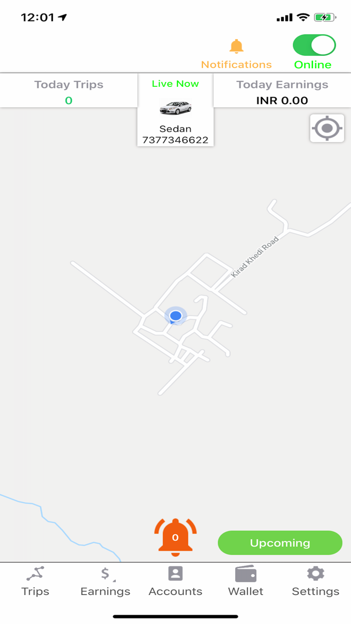 Tesla Taxi Driver