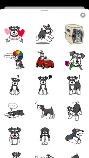 miniature schnauzer dog icon problems & solutions and troubleshooting guide - 3