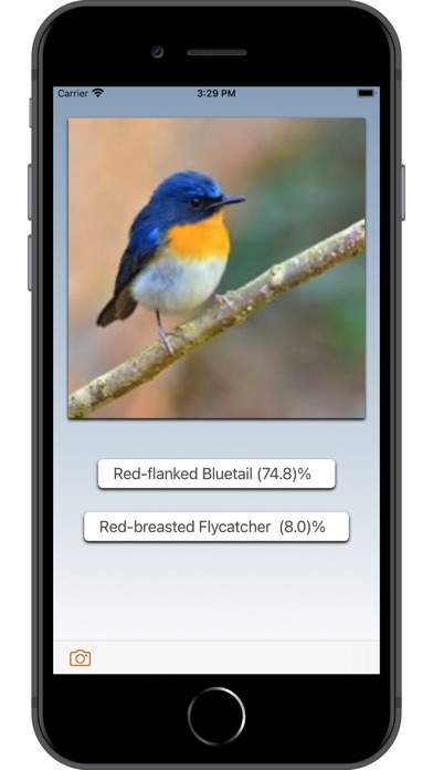 Screenshot #3 pour Bird ID: Use AI to id birds