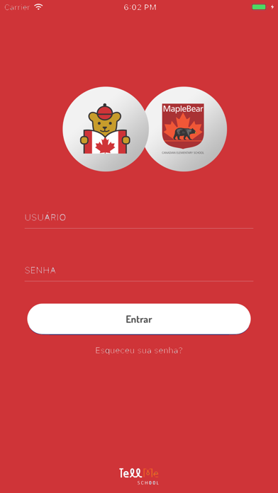 Maple Bear Vila Mascote Screenshot
