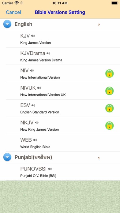 Punjabi English Audio Bible Screenshot