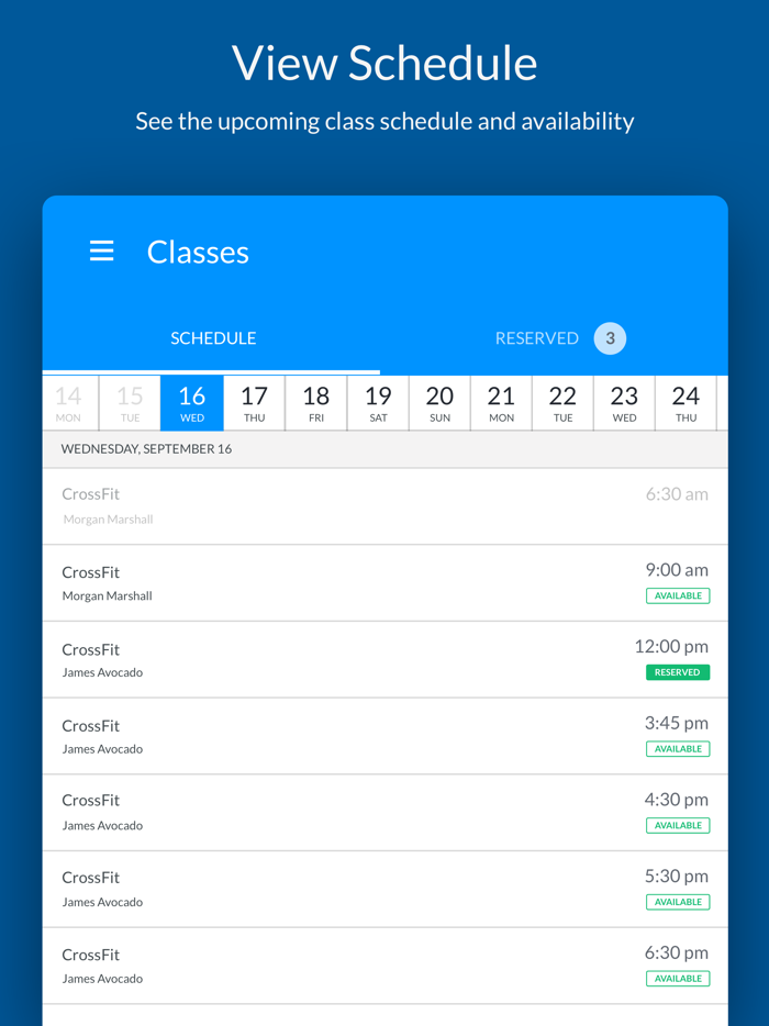 CrossFit Four Pillars