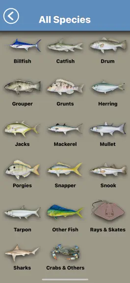 Game screenshot Fish the Gulf hack