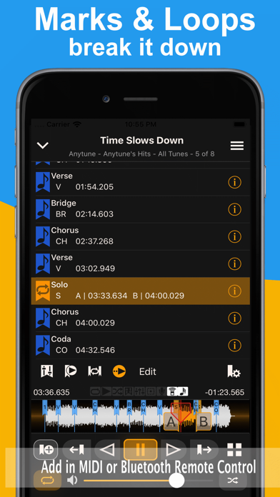 Anytune Pro+ Screenshot