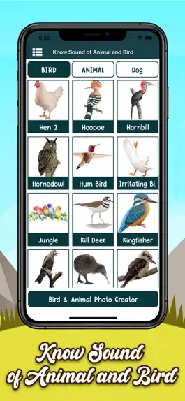 Game screenshot Know Sound of Animal and Bird apk