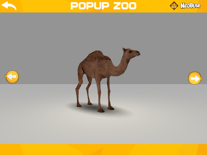 Popup Zoo