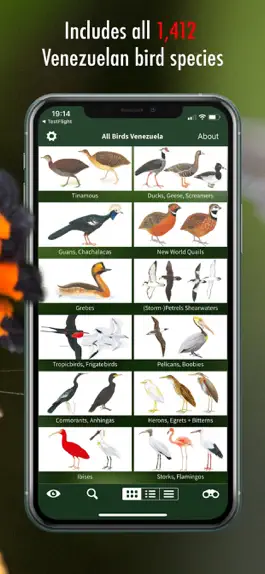 Game screenshot All Birds Venezuela - guide hack
