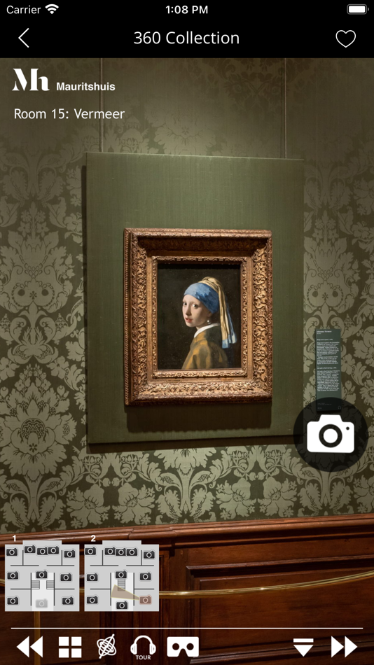 #2. Second Canvas Mauritshuis (iOS) 由: Mauritshuis