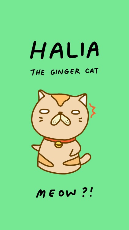 Halia The GInger Cat