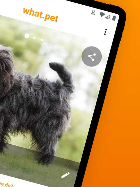 What.pet - Cats & Dogs AI App iPad screenshot 2 - Lifestyle app