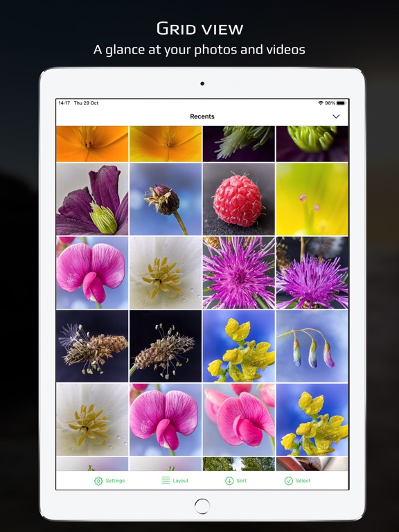 Screenshot #4 pour MetaMaster: Beyond the EXIF