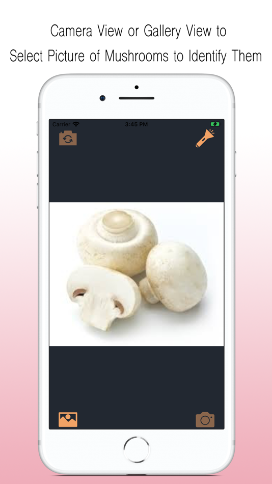 Mushroom Identifier - 1.1.2 - (iOS)