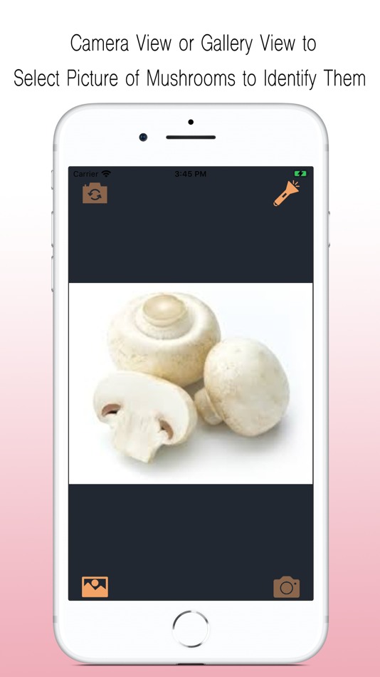 #1. Mushroom Identifier (iOS) 由: 鹏 王