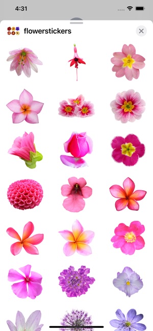 Friends Flower Sticker for iOS & Android