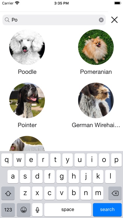 DogsHouse