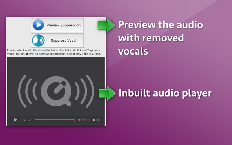 Screenshot #2 pour Audio Vocal Remover