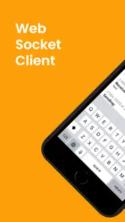 wss websocket client iphone screenshot 1