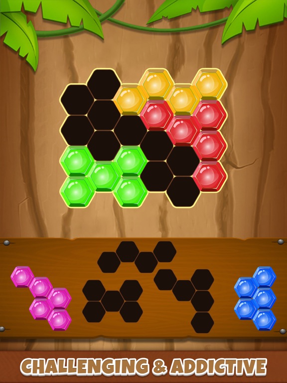 Hexa puzzle : Block blast