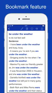 common phrases & collocations iphone screenshot 4