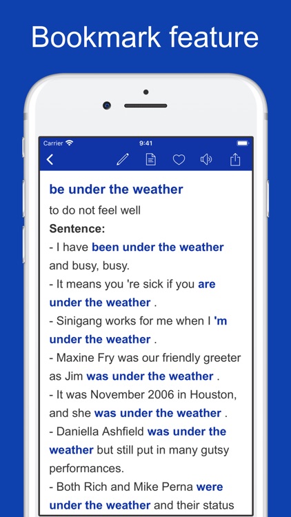 Common Phrases & Collocations screenshot-3