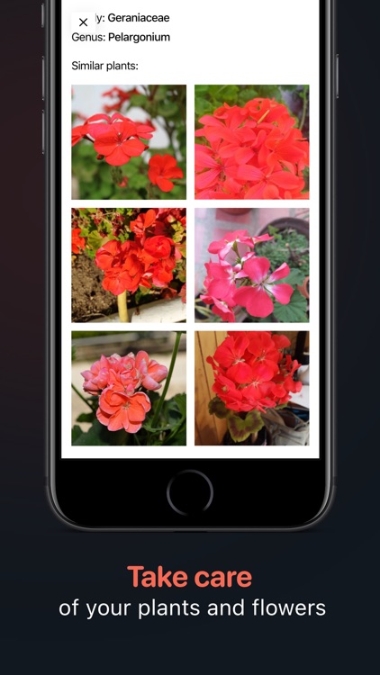 Plant Identifier: Snap scanner screenshot-3
