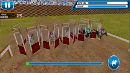 Game screenshot Horse Racing & Jumping Master hack
