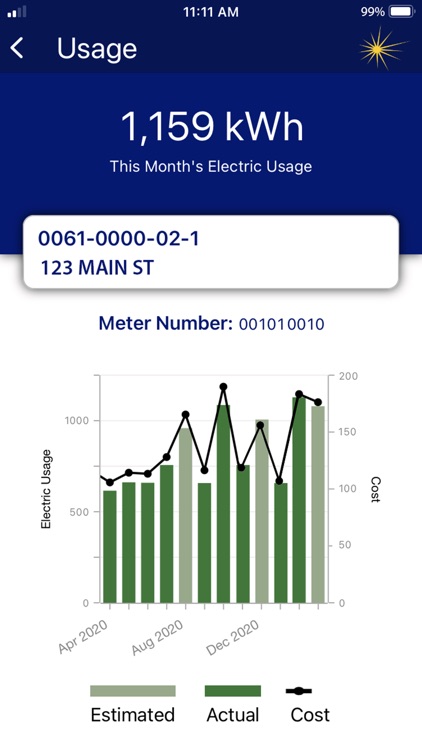 Central Hudson Mobile
