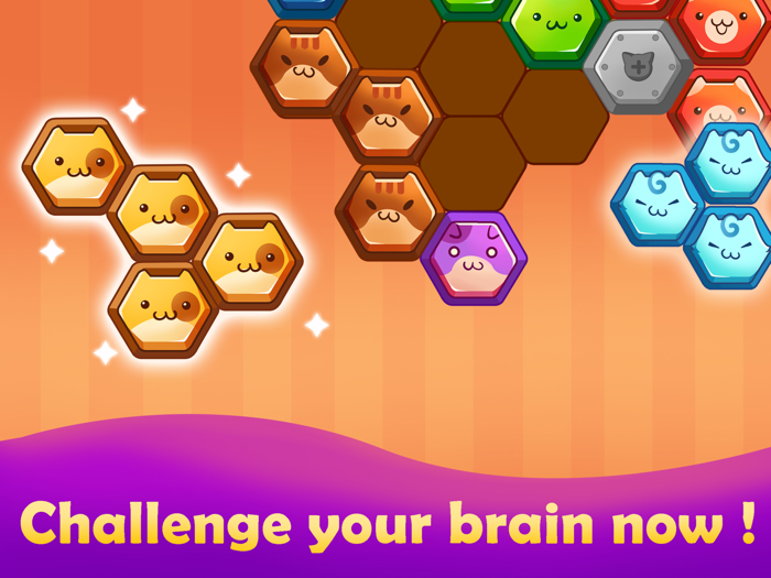 Hexa Puzzle Tangram Game