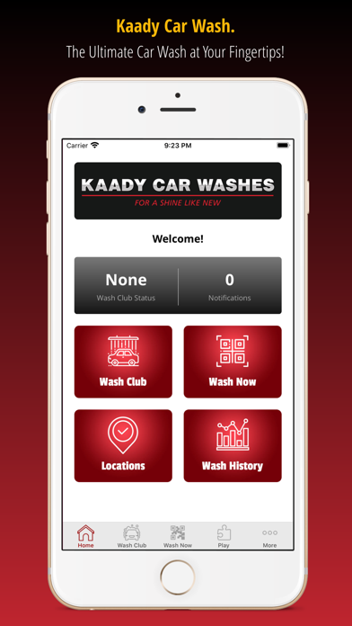 Kaady Car Wash Screenshot