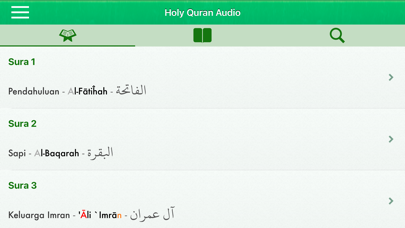 Quran Audio Pro in Indonesian Screenshot