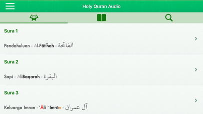 Quran Audio Pro in Indonesianのおすすめ画像8