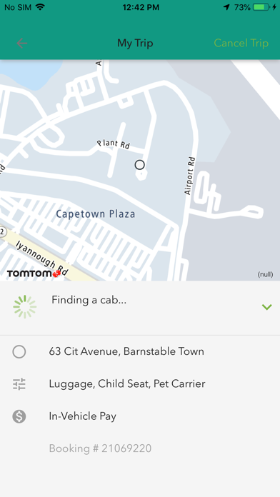Town Taxi Cape Cod Screenshot
