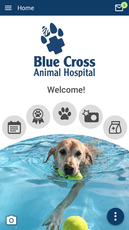 Blue Cross AH Toronto