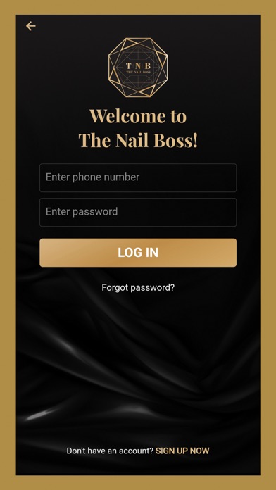 The Nail Boss Screenshot
