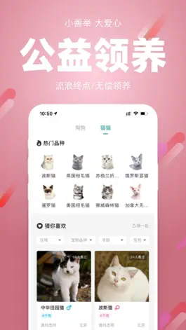 Game screenshot 宠朕-公益宠舍～公益领养 mod apk