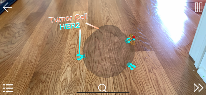 HER2-Targeted Therapy