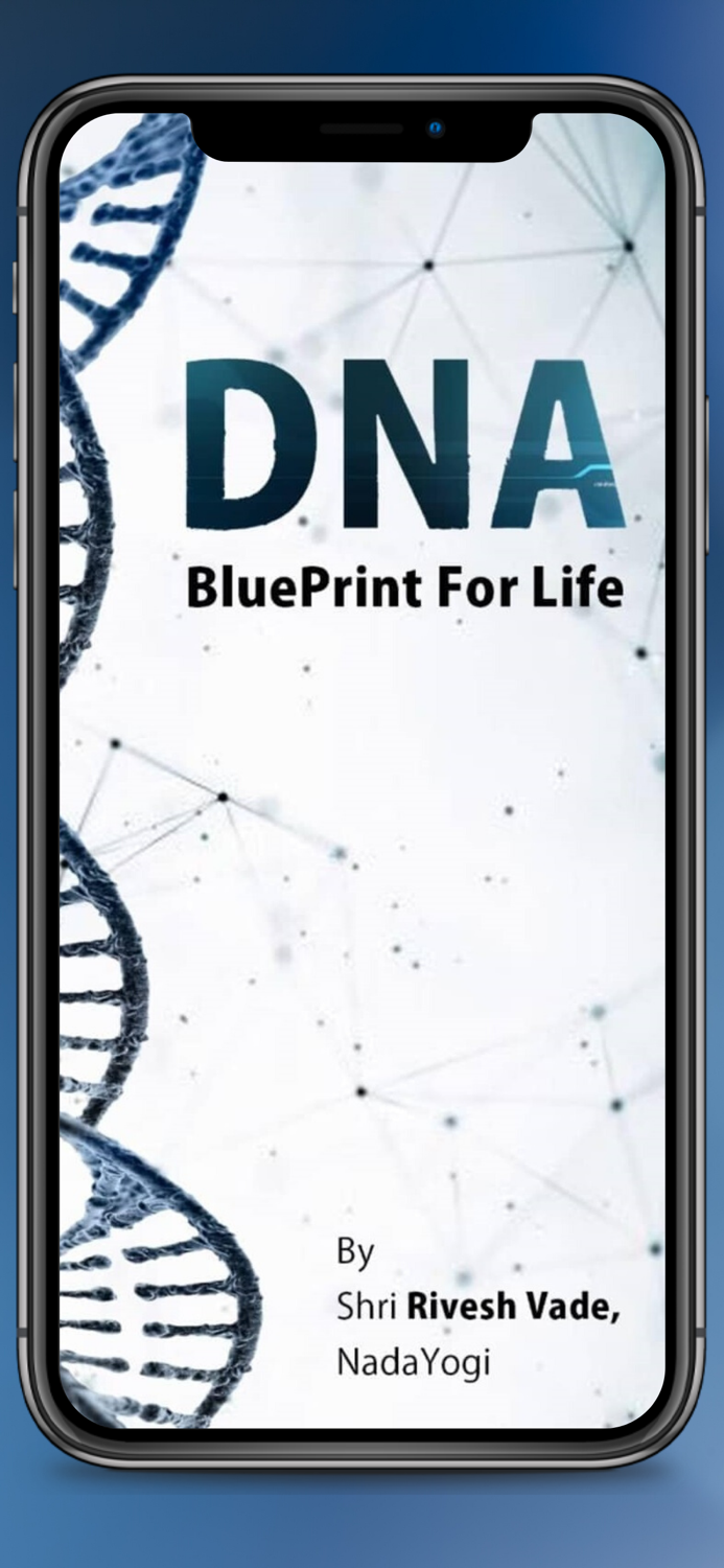 Wellness Vibe Healing Sound