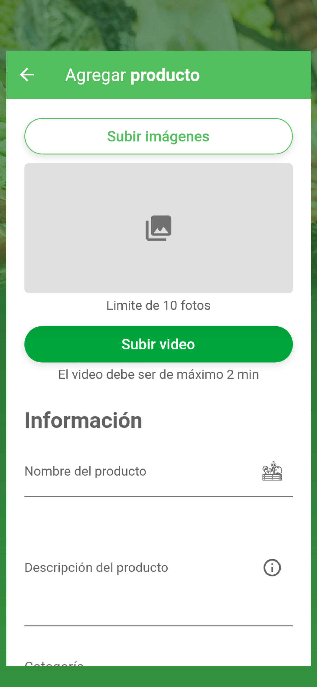 Merkado Verde