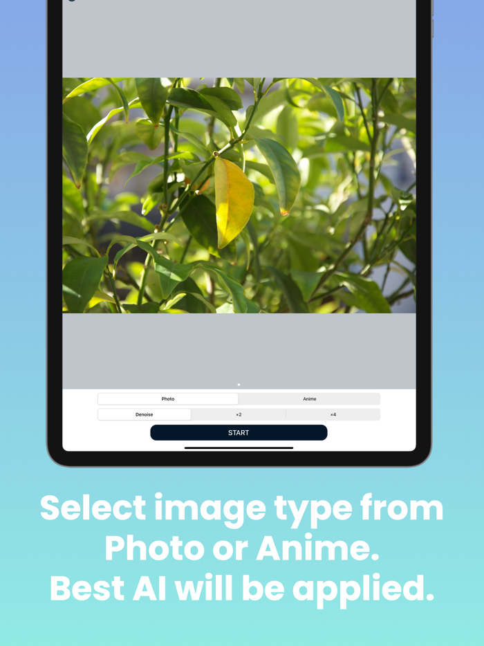 Falper SR - Enhance Images