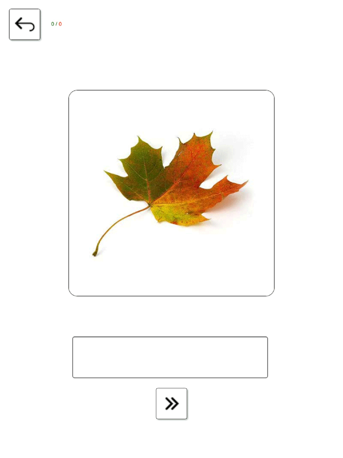 Learn and play German 
