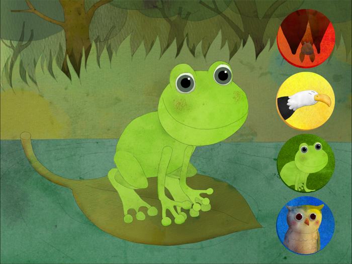 Animals and their environment