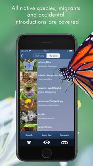 butterfly id - uk field guide iphone screenshot 4