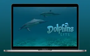 dolphins 3d lite iphone capturas de pantalla 1