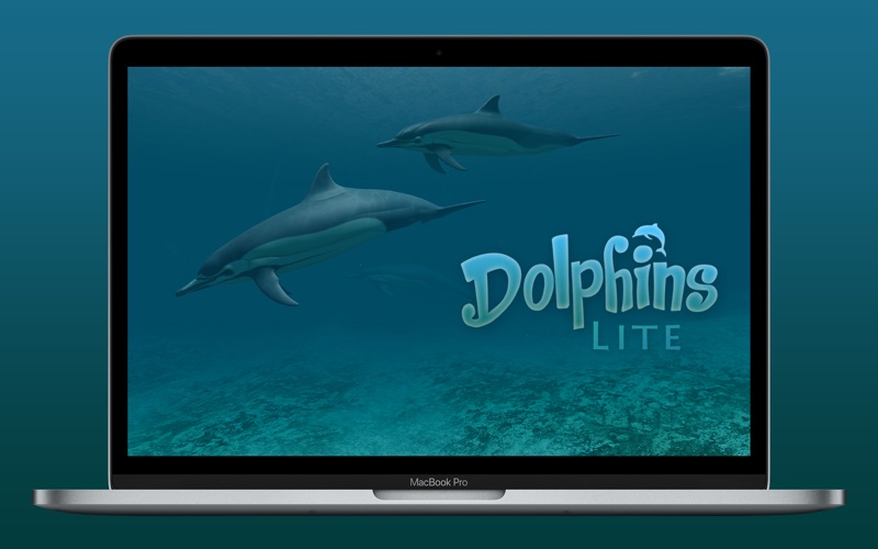 Screenshot #1 for Dolphins 3D Lite