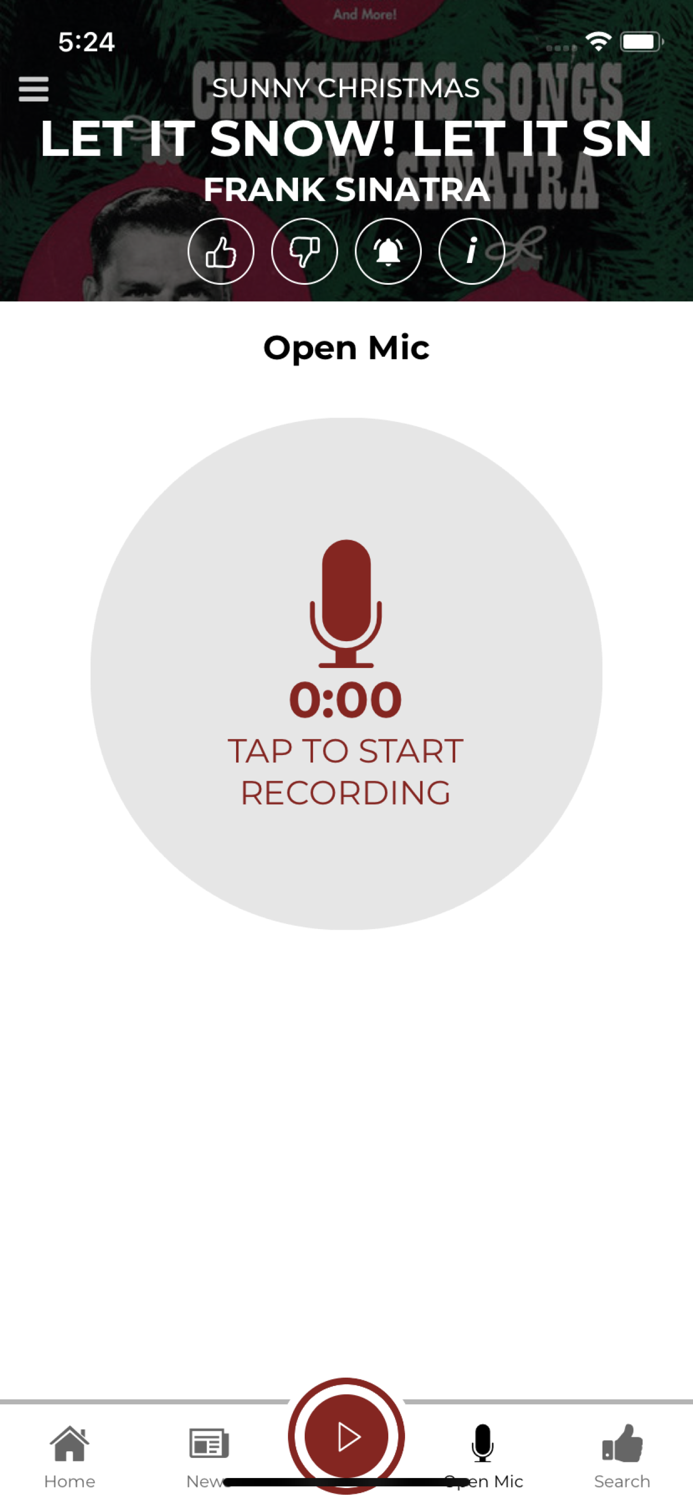 Sunny Christmas Music