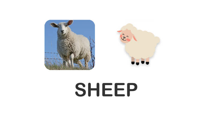 Educational Matching Game