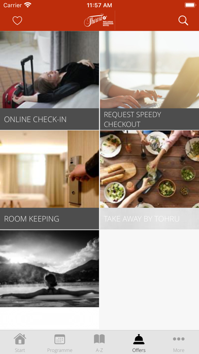 Hotel THERESA in Zillertal Screenshot