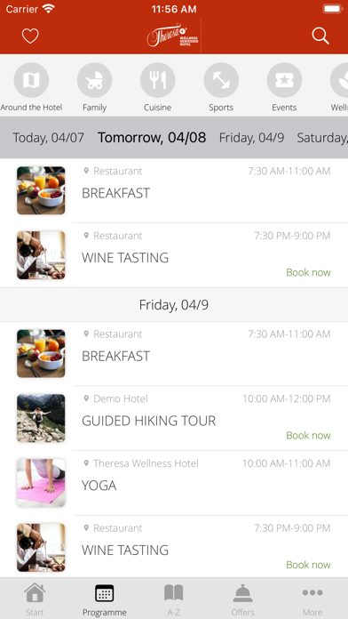 Hotel THERESA in Zillertal Screenshot