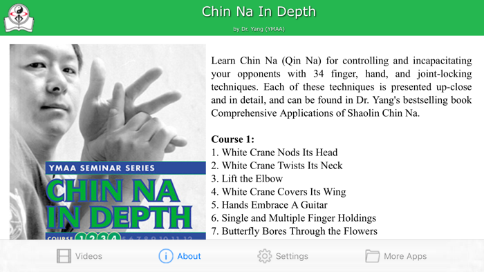Chin Na In Depth