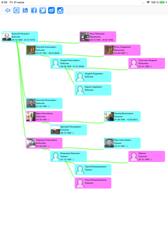 The Family Tree of Family